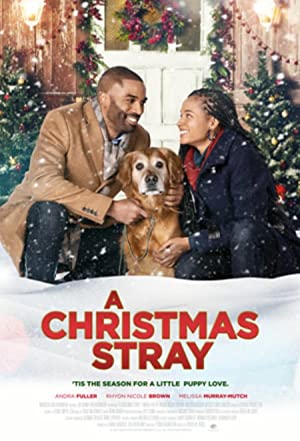 Movie a christmas stray